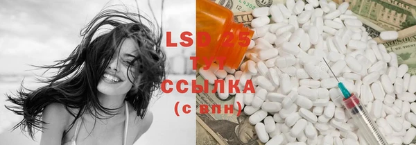PSILOCYBIN Абинск