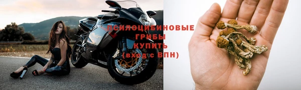 индика Валдай